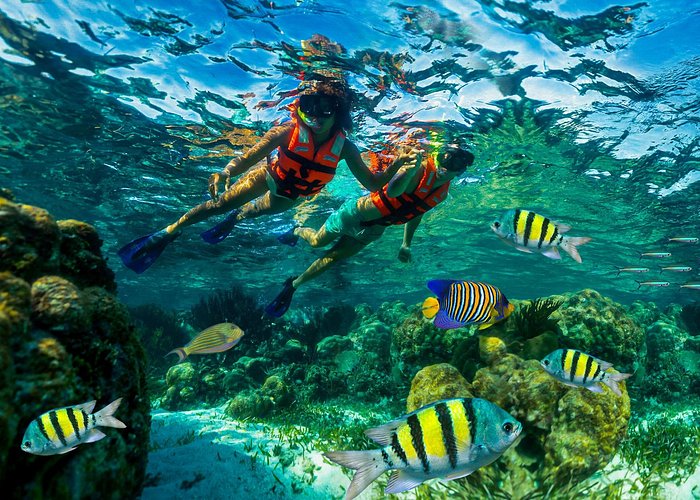 «Snorkeling en el Caribe: Cueva de los Peces»